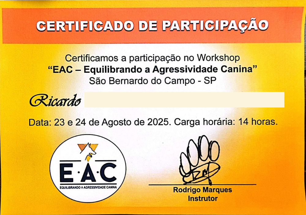 Certificado-01