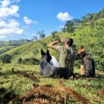 Screenshot_20250813_124004_Gallery