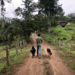 Screenshot_20250814_151939_ChatGPT